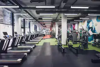 Gymnasium