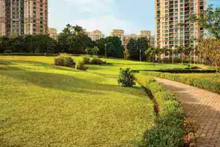 Landscaped Garden